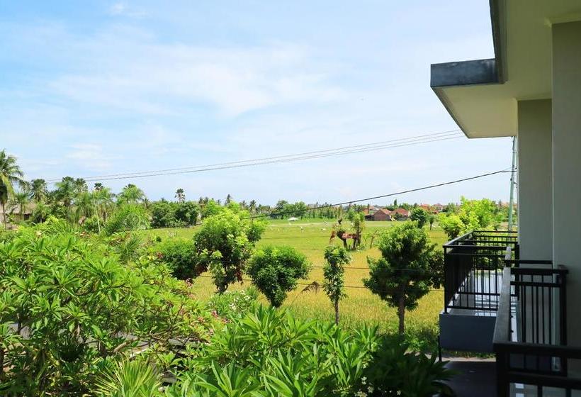 בית מלון כפרי Gm Lovina