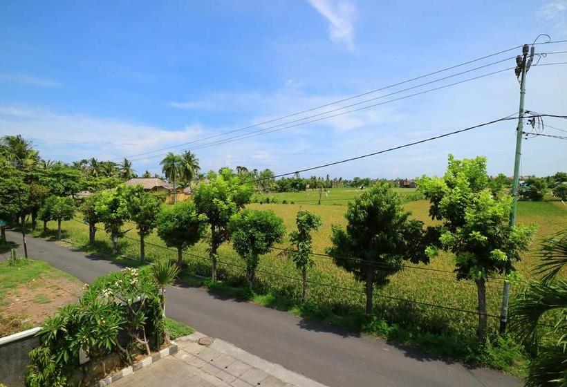 בית מלון כפרי Gm Lovina