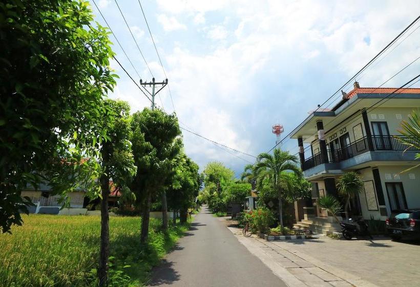 בית מלון כפרי Gm Lovina