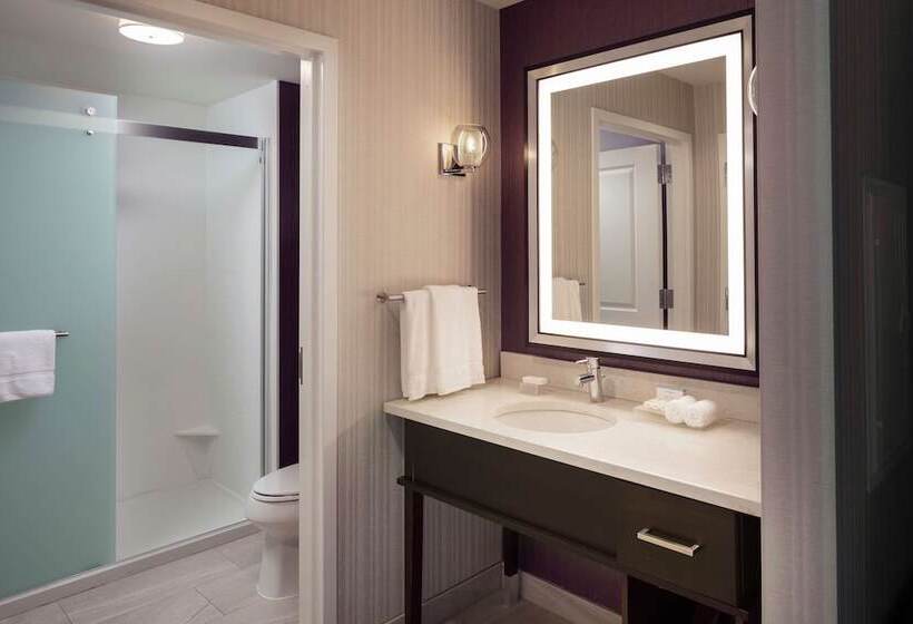 ホテル Homewood Suites By Hilton Needham Boston