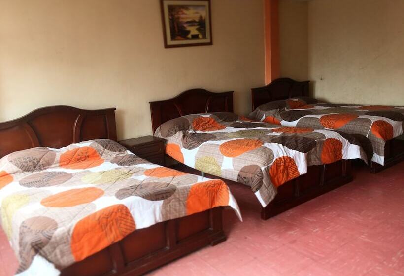 فندق Hospedaje Miami