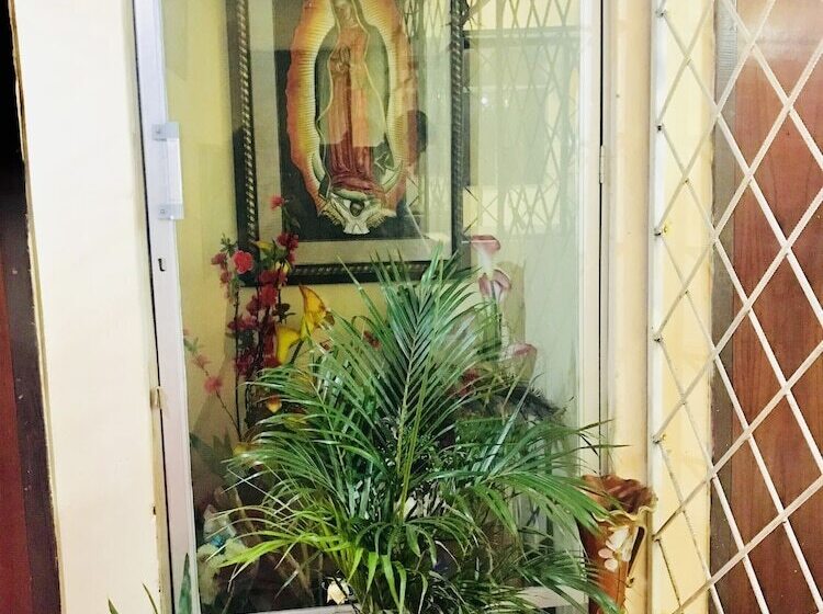 فندق Hospedaje Miami