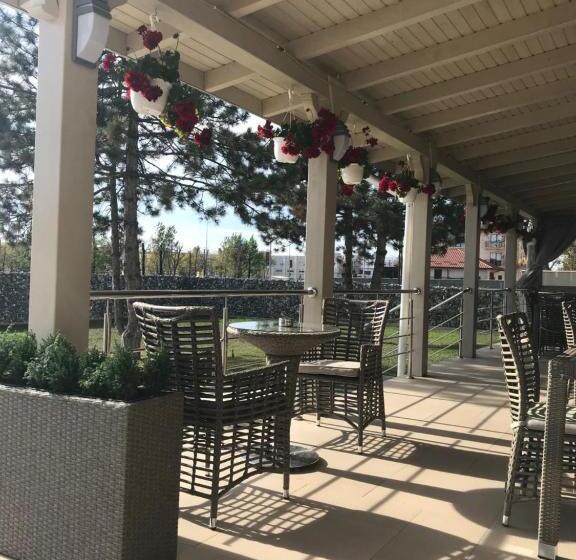 ホテル Terra Iasi