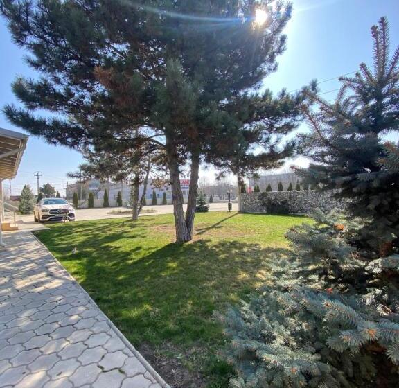 ホテル Terra Iasi