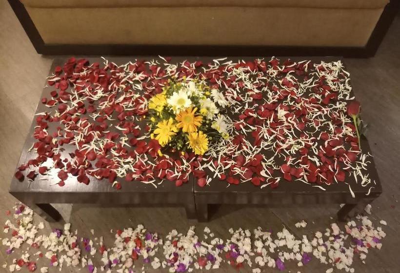 호텔 Seventeen Degrees