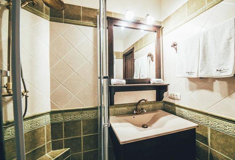 酒店 Piatra Pinului Ski & Spa