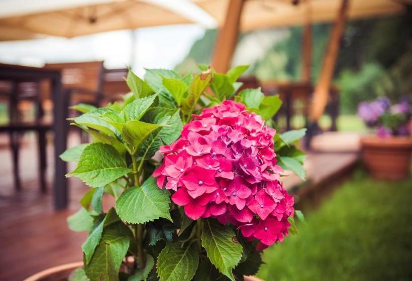 酒店 Piatra Pinului Ski & Spa