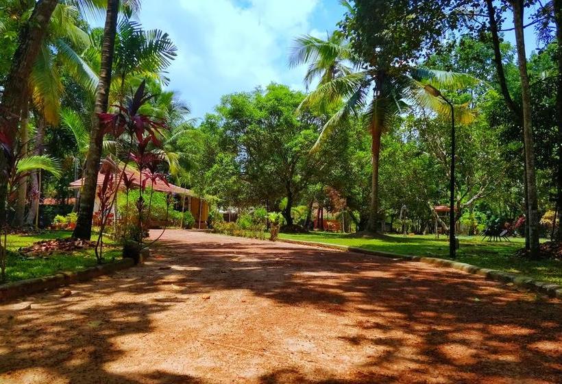 리조트 Palathra Heritage