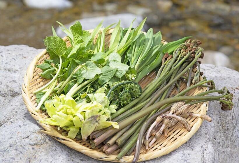 旅館 Tenjiku Onsennosato