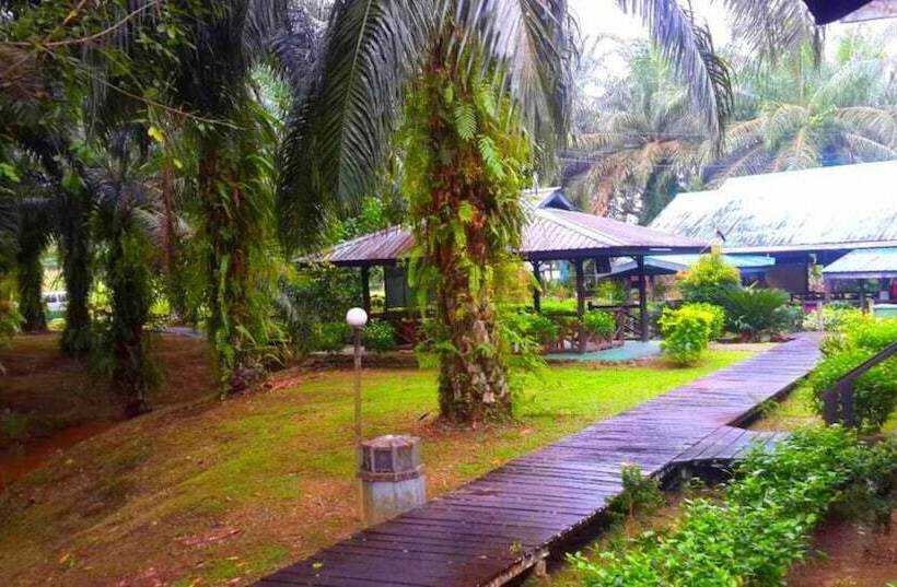 Sukau Backpackers B&b