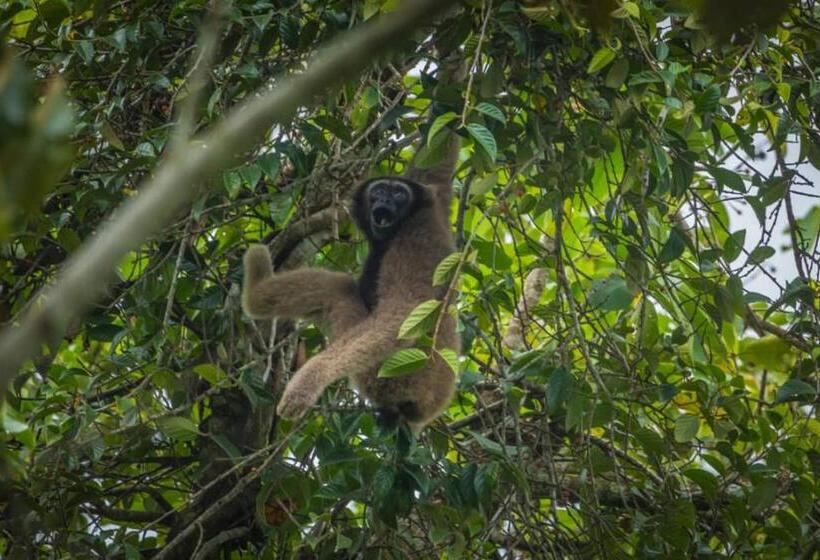 Sukau Backpackers B&b