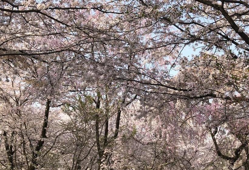 ユースホステル Petit Hotel Alla Seta