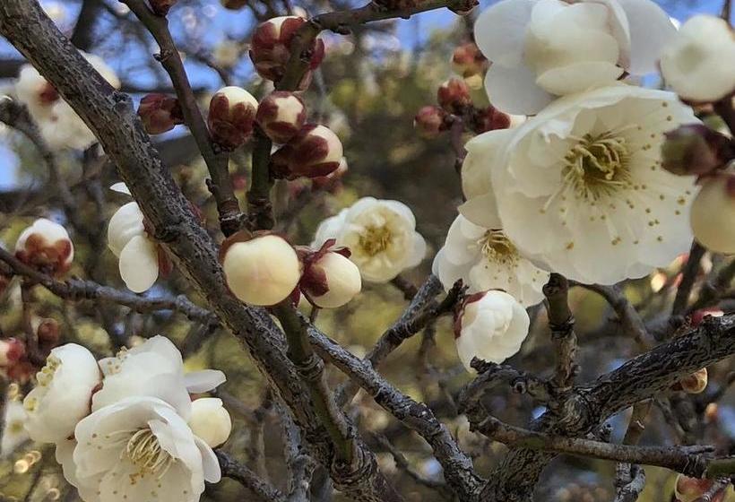 ユースホステル Petit Hotel Alla Seta