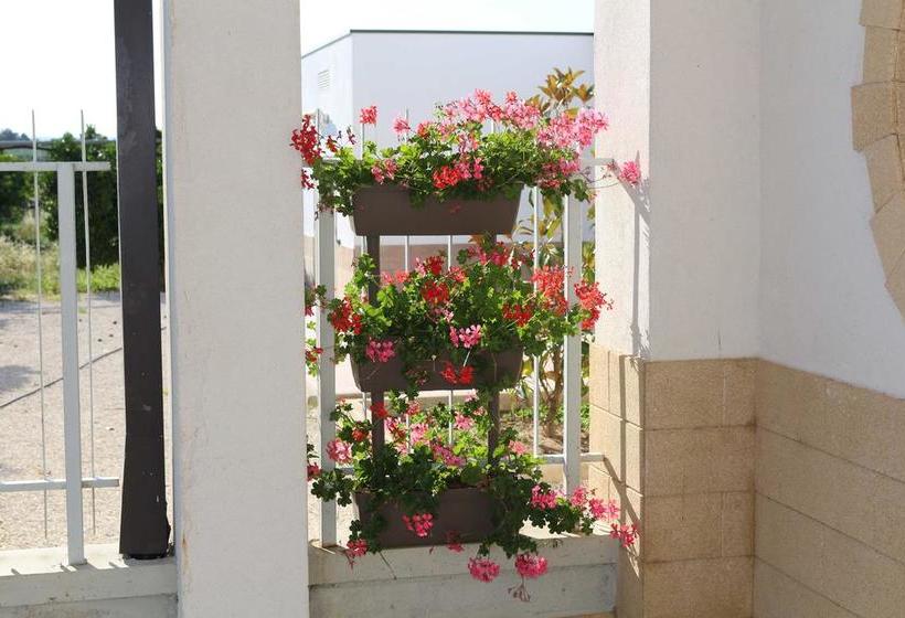 住宿加早餐 All Ombra Del Carrubo Metaponto