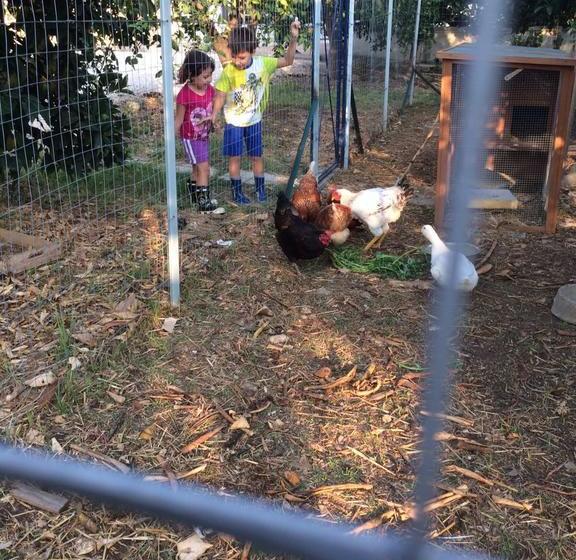 住宿加早餐 All Ombra Del Carrubo Metaponto