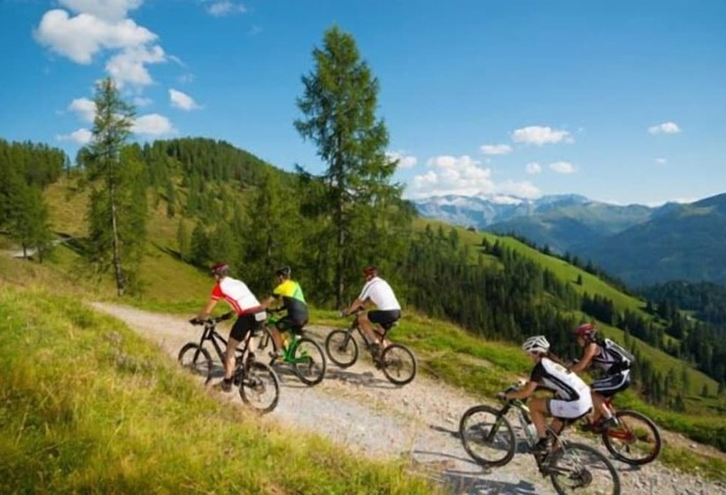 צימר Appartement Pension Kendlbacher