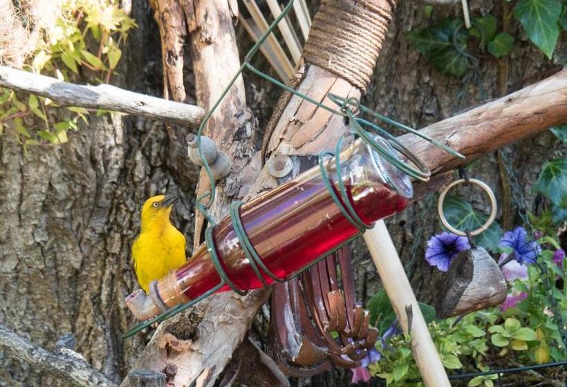 ベッドアンドブレックファースト Aquaelberg Place