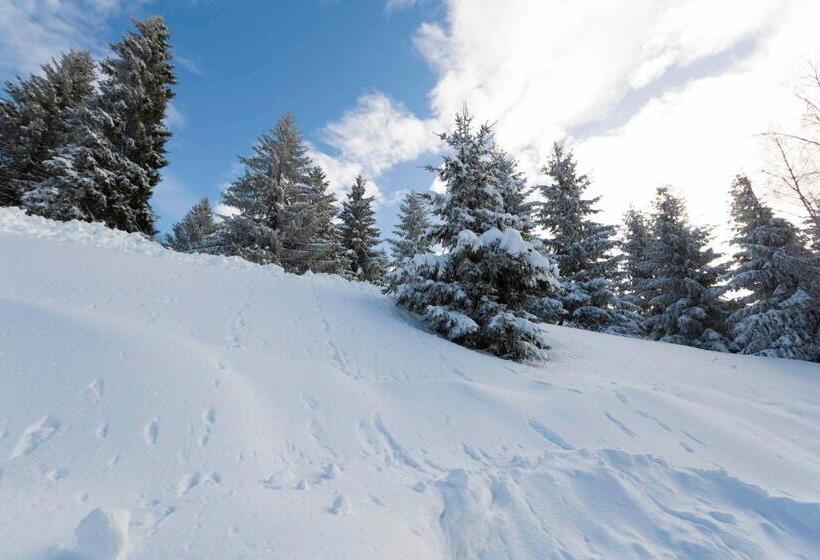 ベッドアンドブレックファースト Etrusca Polsa