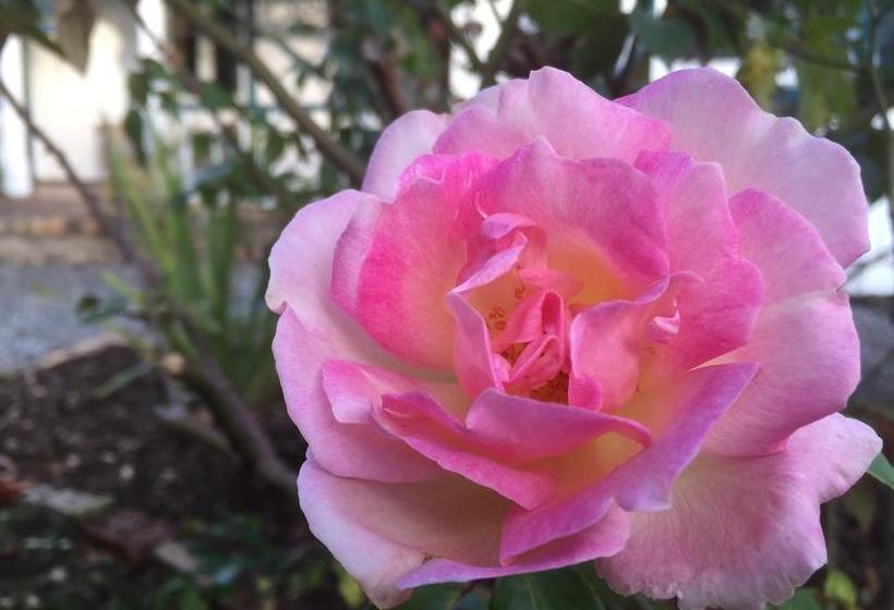 צימר Karamana Homestead