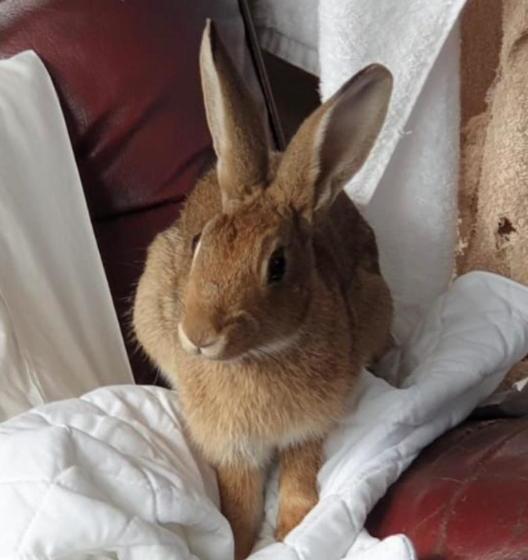 צימר Karamana Homestead