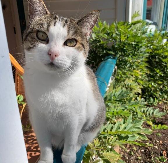 צימר Karamana Homestead