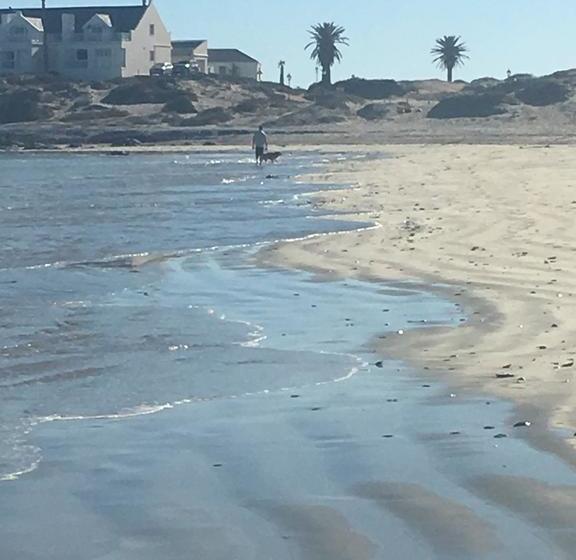 مبيت وإفطار Musselcracker Vacation Home