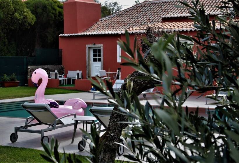 צימר Paço Do Bispo Boutique House