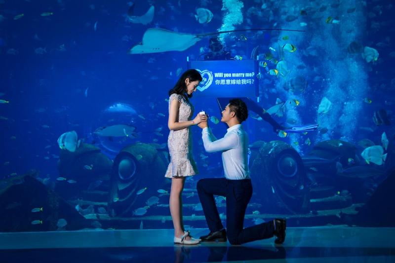 فندق Atlantis Sanya