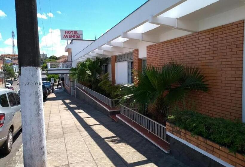Отель Avenida