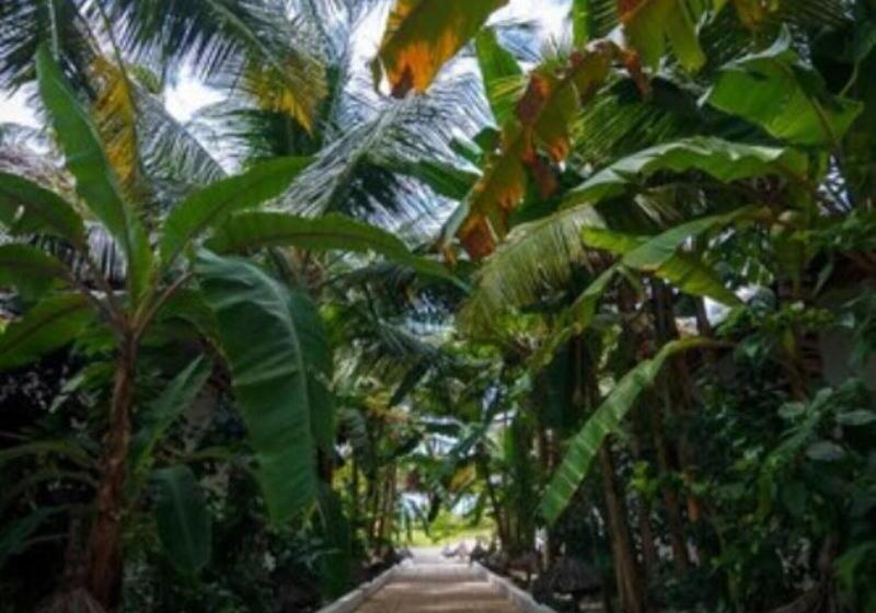 فندق Blue Moon Resort