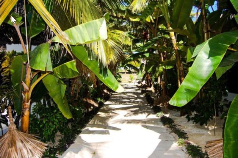 فندق Blue Moon Resort