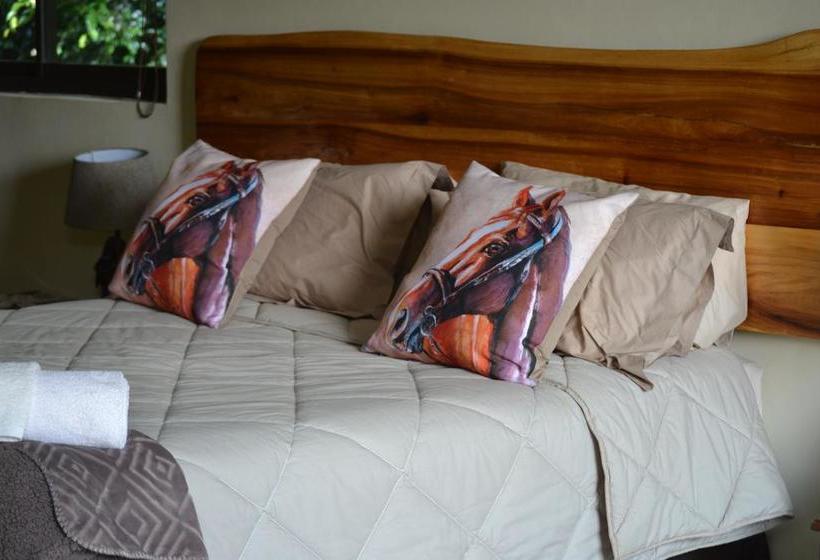 ホテル Bo Heimia Guesthouse