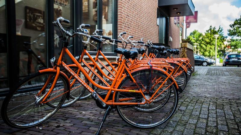 בית מלון כפרי Boutique Suites Lisse   Keukenhof