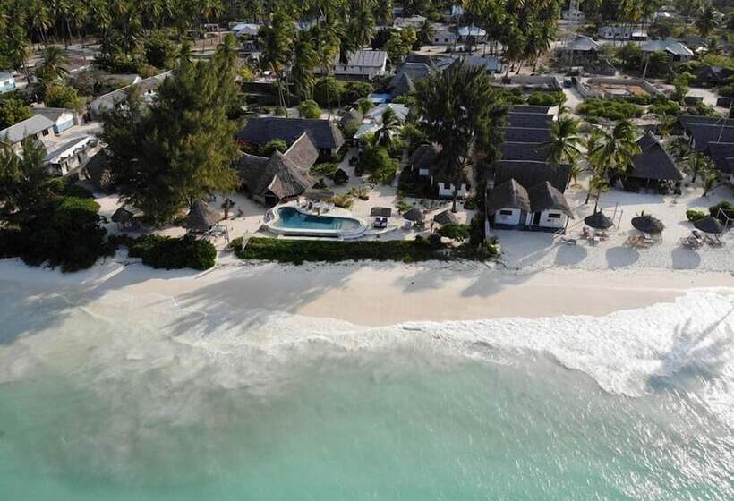 בית מלון כפרי Driftwood Beach Lodge