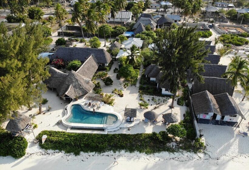 בית מלון כפרי Driftwood Beach Lodge