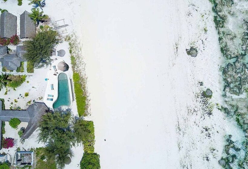 فندق Driftwood Beach Lodge