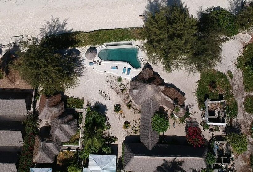 فندق Driftwood Beach Lodge