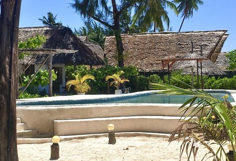 בית מלון כפרי Driftwood Beach Lodge