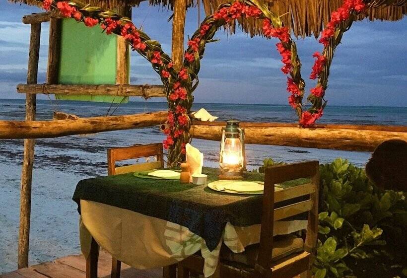 בית מלון כפרי Driftwood Beach Lodge