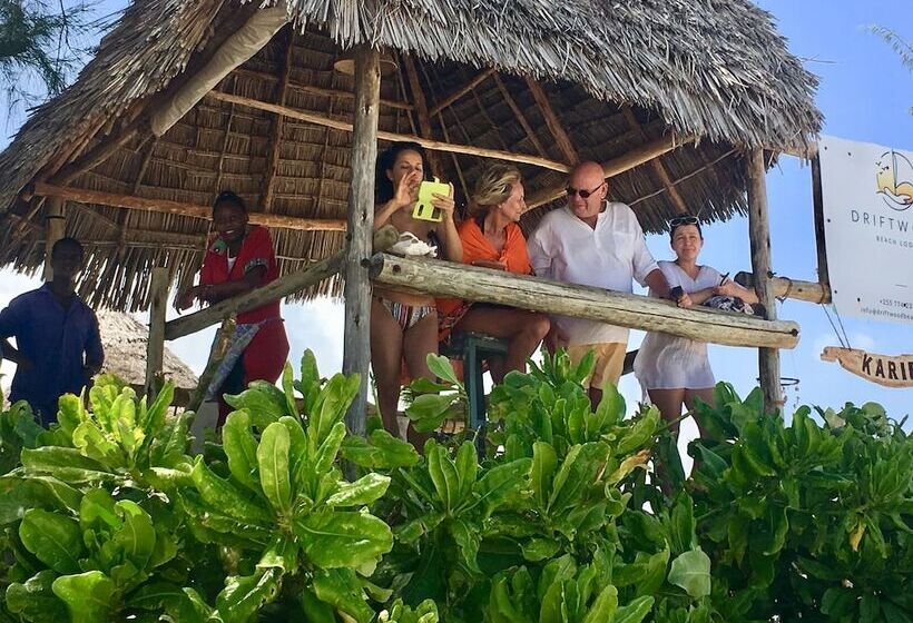 فندق Driftwood Beach Lodge