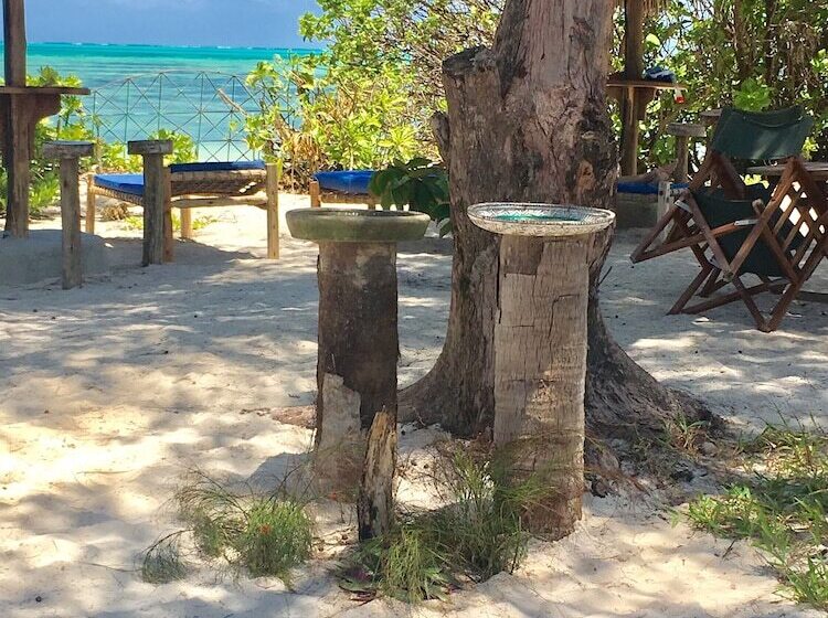 בית מלון כפרי Driftwood Beach Lodge