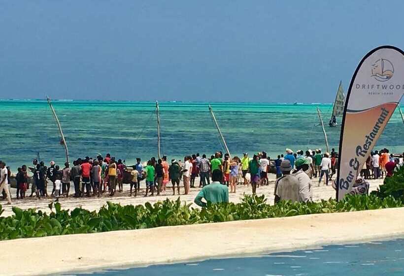 בית מלון כפרי Driftwood Beach Lodge