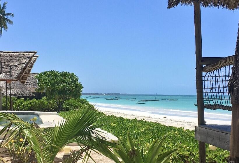 فندق Driftwood Beach Lodge