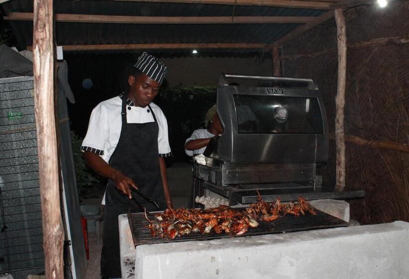 בית מלון כפרי Driftwood Beach Lodge