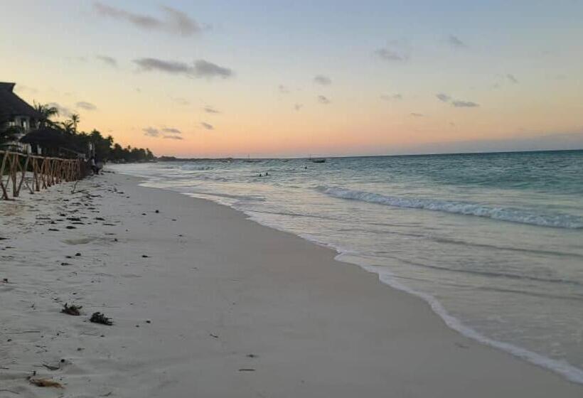 בית מלון כפרי Driftwood Beach Lodge