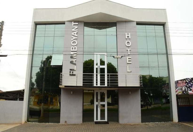 Отель Flamboyant