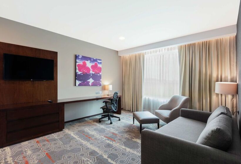 ホテル Hilton Garden Inn Salamanca