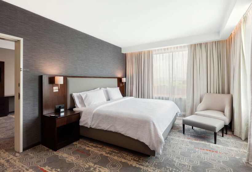 ホテル Hilton Garden Inn Salamanca