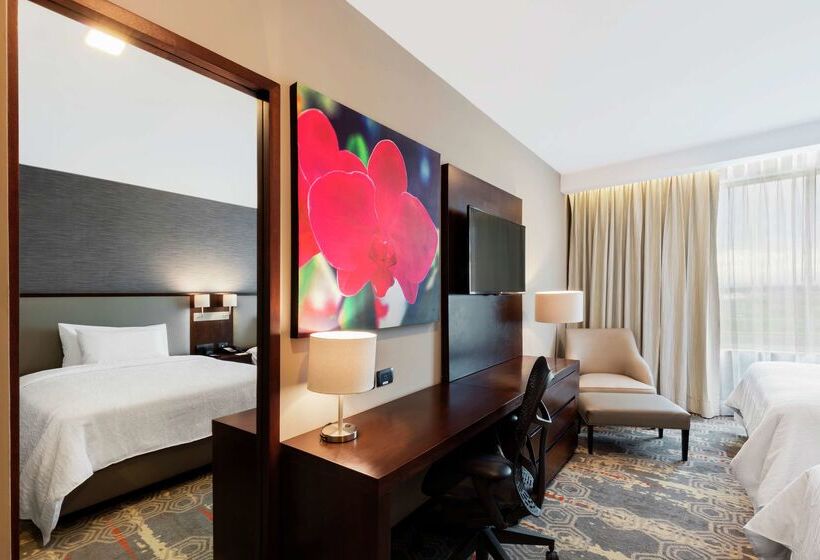 ホテル Hilton Garden Inn Salamanca