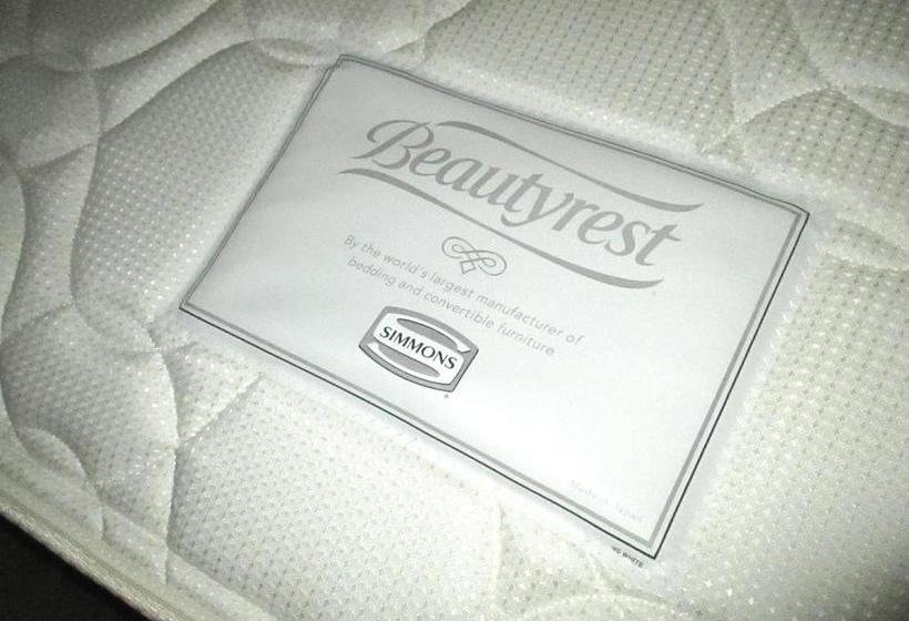 בית מלון כפרי Ohashi Iida